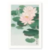 Water Lily Print Poster
