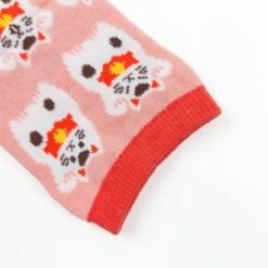 Neko Socks -Nippon Life Market 20240125 111646 min