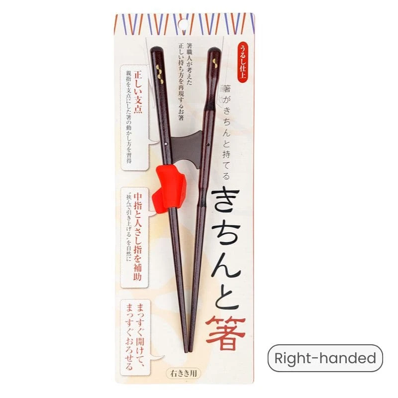 Training Chopsticks For Adults 2 Training Chopsticks For Adults - Image 2