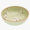 Japanese Donburi Bowl - Midori Sakura