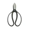 Ikebana Scissors - Koryu