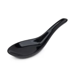 Black Porcelain Ramen Spoon