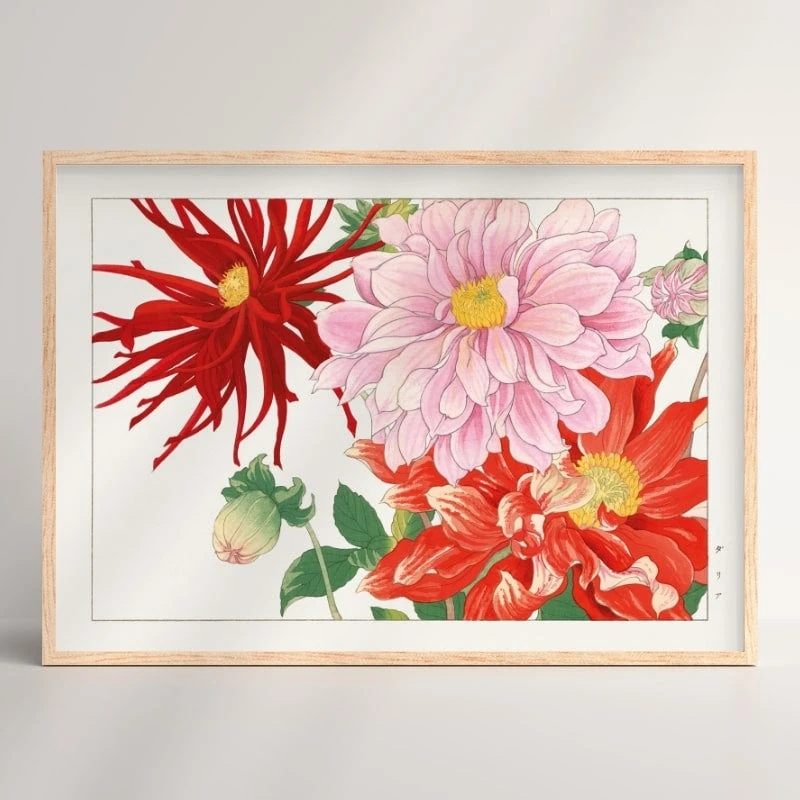 Japanese Woodblock Print - Dahlia Flower 2 Japanese Woodblock Print - Dahlia Flower - Image 2
