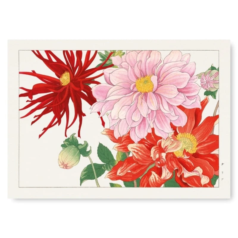 Japanese Woodblock Print - Dahlia Flower 1 Japanese Woodblock Print - Dahlia Flower
