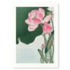 Japanese Woodblock Print - Lotus Flower