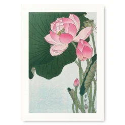 Japanese Woodblock Print - Lotus Flower