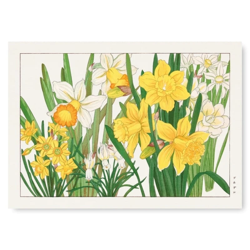 Japanese Woodblock Print - Daffodil Flower 1 Japanese Woodblock Print - Daffodil Flower