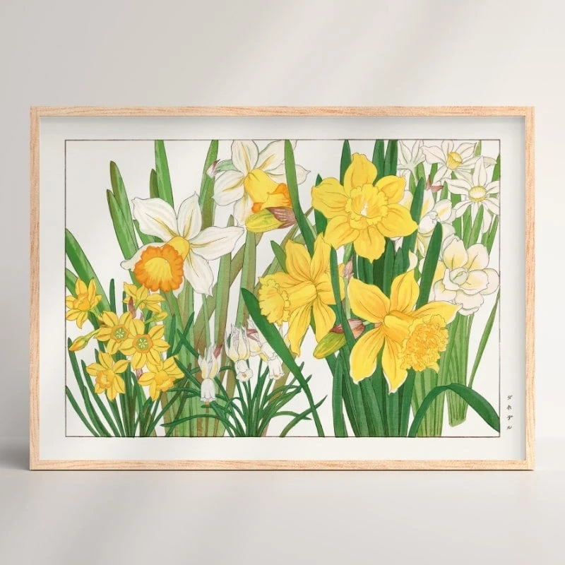 Japanese Woodblock Print - Daffodil Flower 2 Japanese Woodblock Print - Daffodil Flower - Image 2
