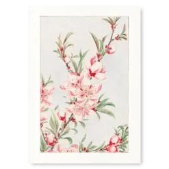 Japanese Block Print - Peach Blossom