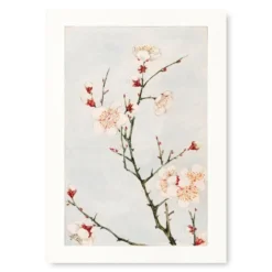 Japanese Print - Plum Blossom
