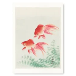 Japanese Woodblock Print - Goldfish