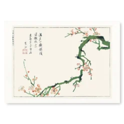 Japanese Woodblock Print - Ume No Eda