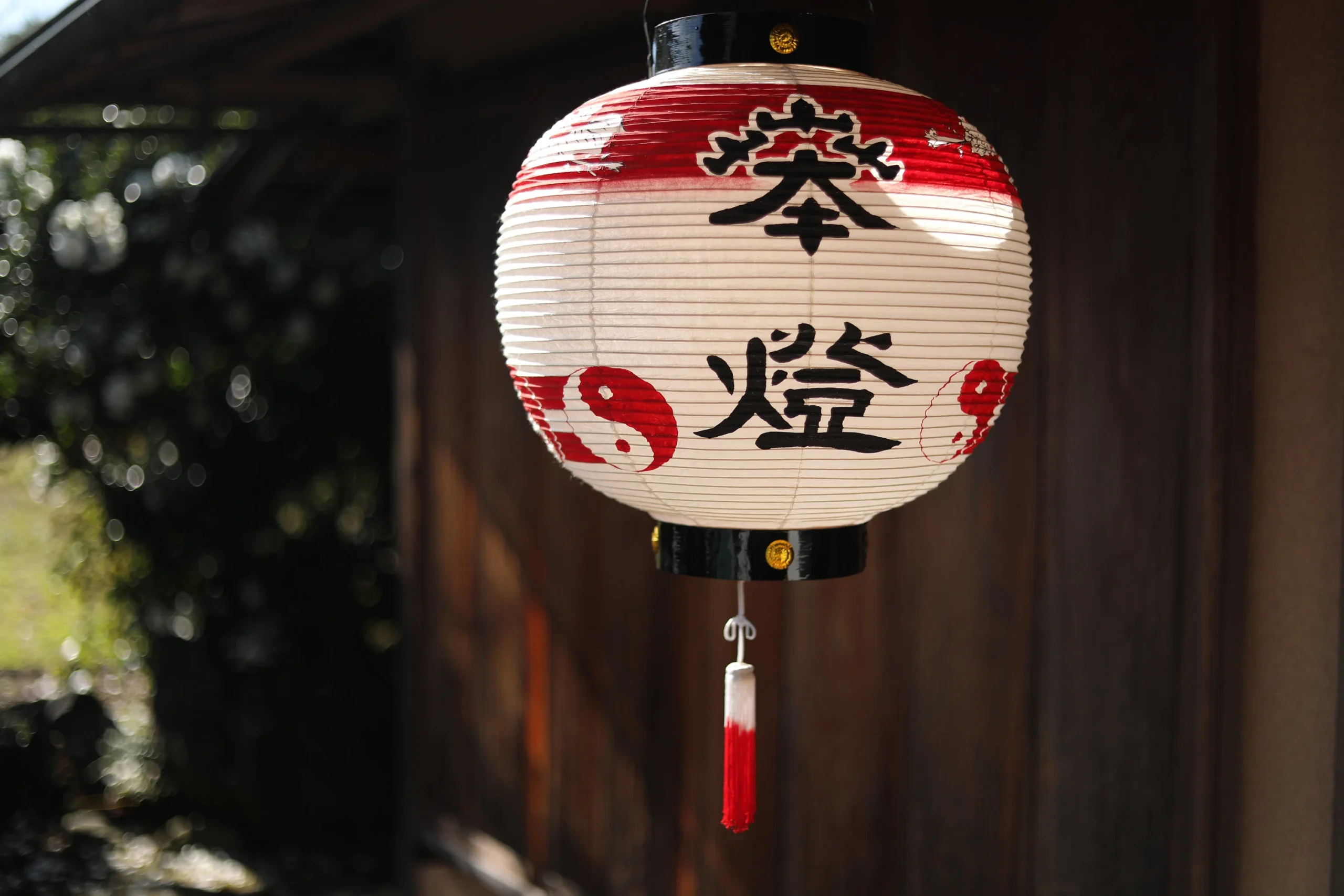 Nippon Life Market -Nippon Life Market il fullxfull.3508247622 gr8j scaled