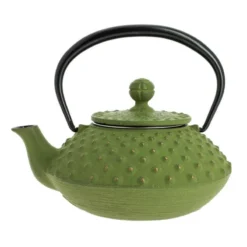 Iwachu Cast Iron Teapot - Green - 12 Fl Oz